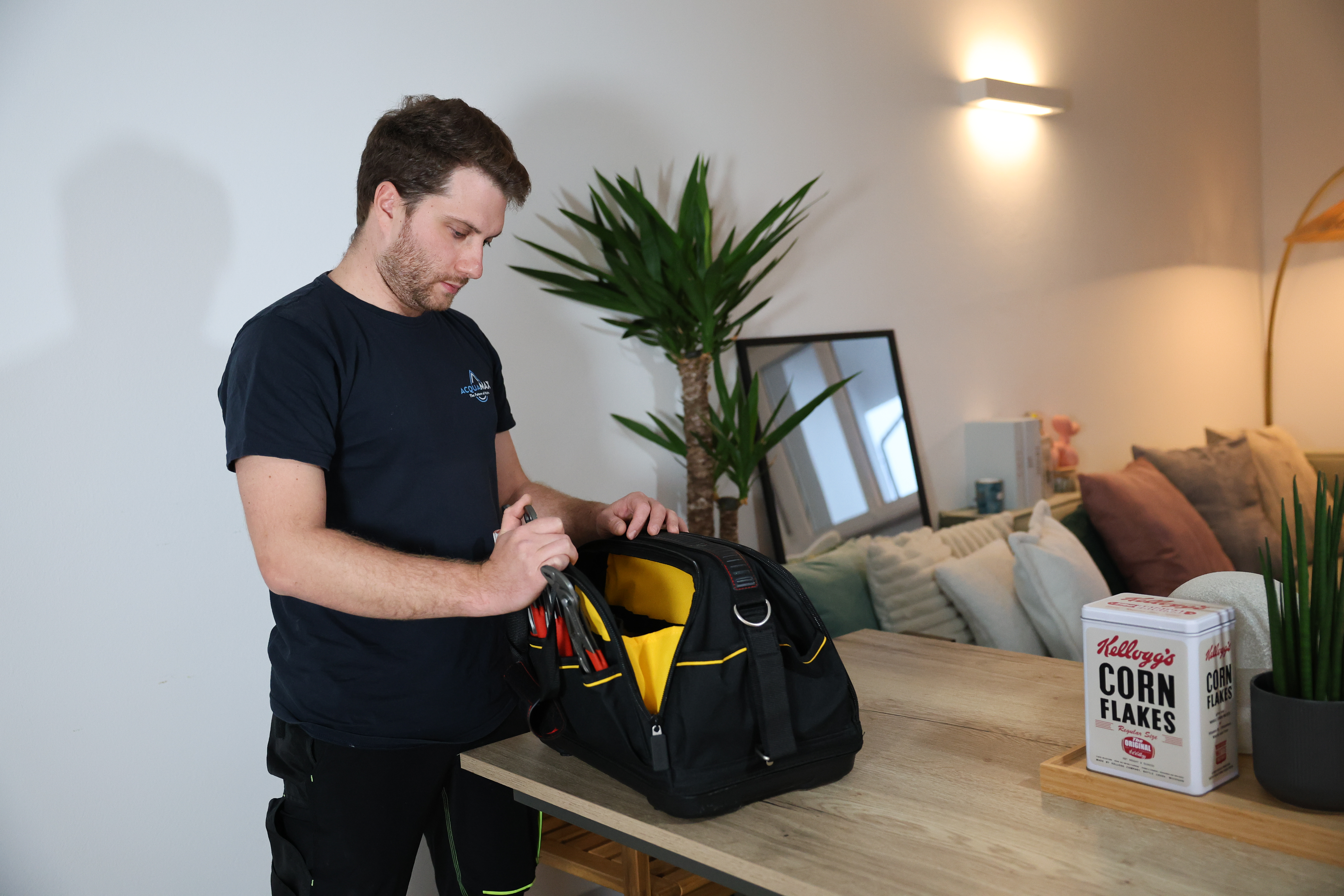 Descripción de la imagen